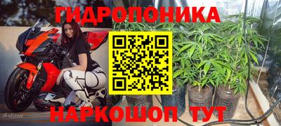 трава Шебекино
